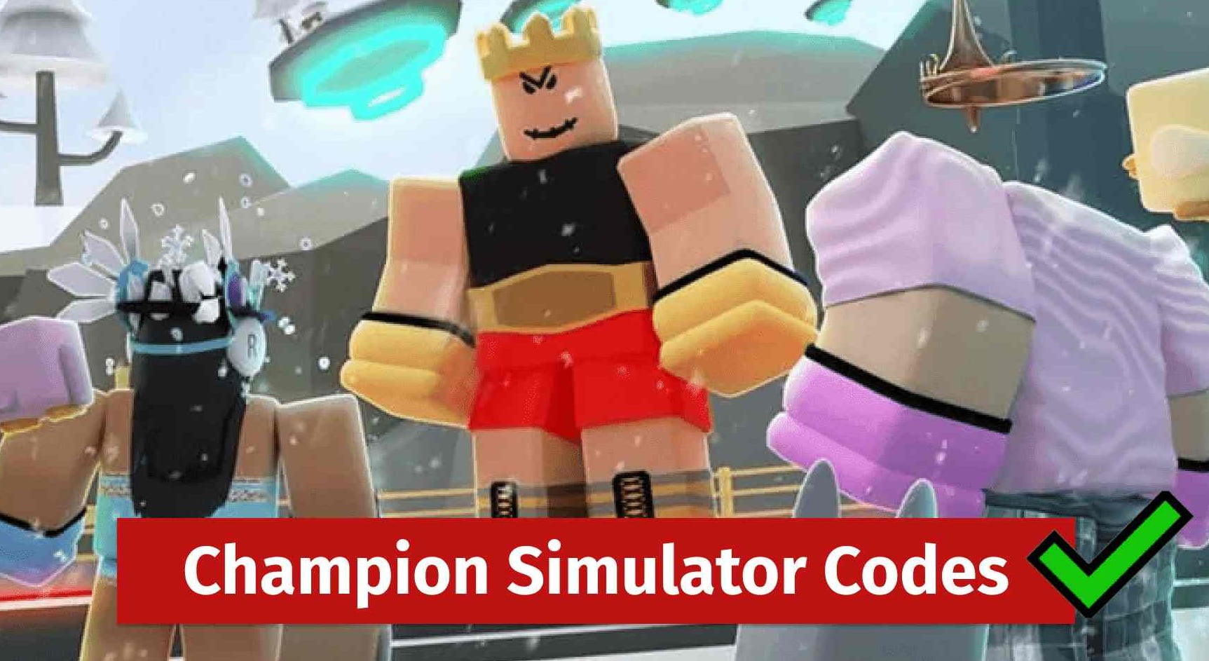 Champion Simulator