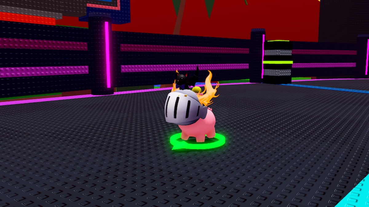 Roblox Animal Battles The Body Of A Pig Wearing The Head Of An Avatar Which Is A Silver Helmet On Fire With A Cat On Top