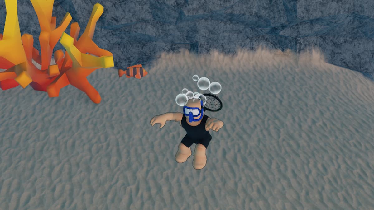 Roblox Become A Deep Sea Explorer Avatar Wearing Black Swimming Kit With Blue Snorkler In Water Near Fish And Coral Reef
